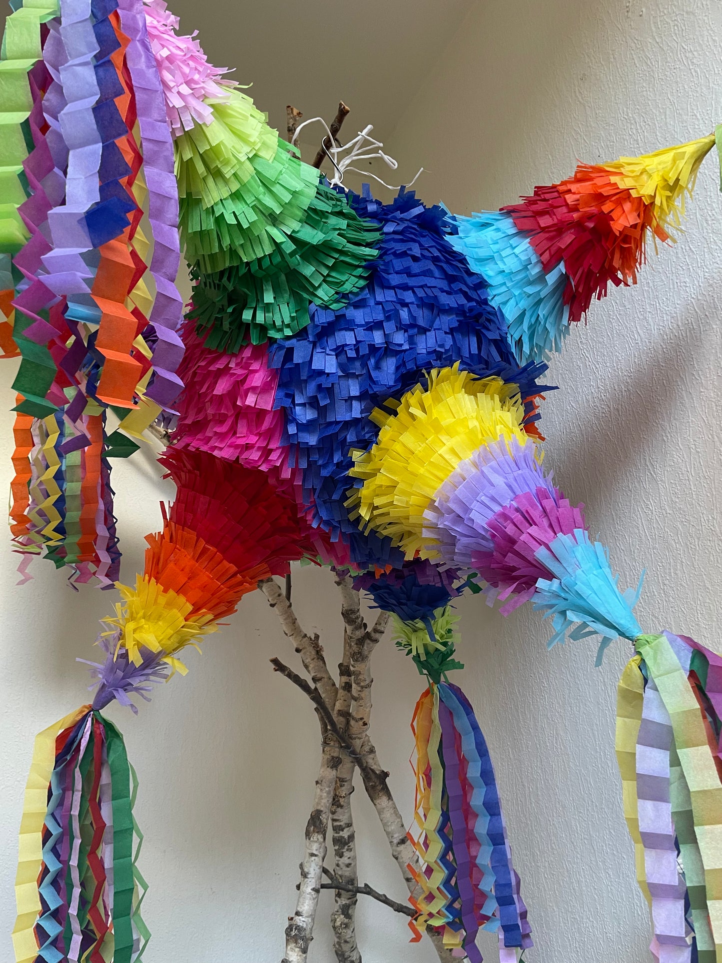 Traditionell Mexikansk Stjärnpiñata